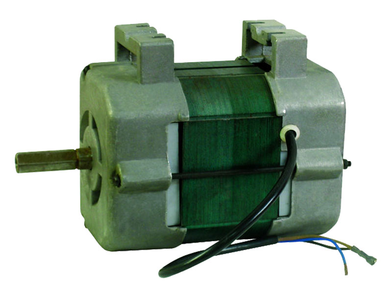 31-695 AC Motor