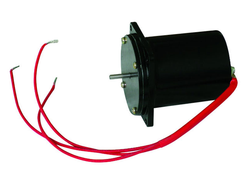 TZ51-2 Synchronous Motor